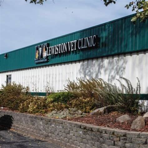 village vet lewiston|lewiston veterinary clinic.